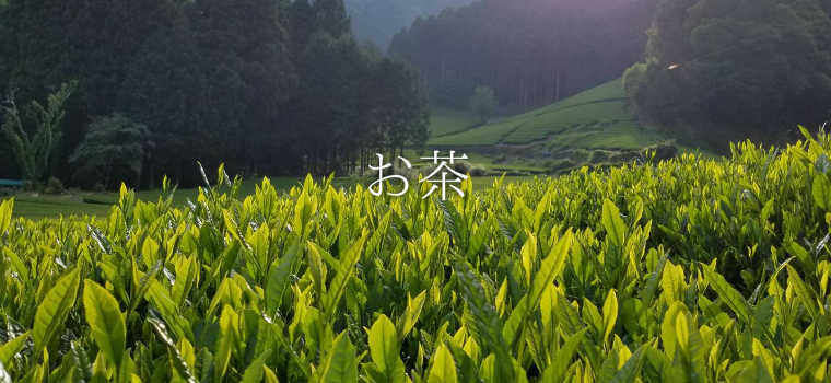 お茶 静岡